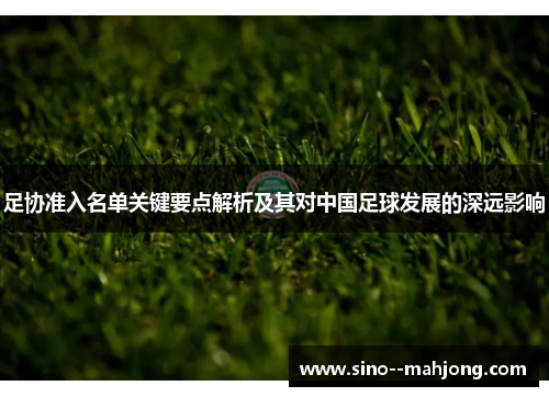 足协准入名单关键要点解析及其对中国足球发展的深远影响