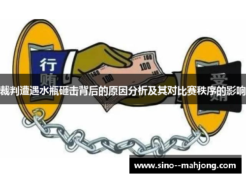 裁判遭遇水瓶砸击背后的原因分析及其对比赛秩序的影响