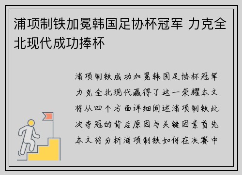浦项制铁加冕韩国足协杯冠军 力克全北现代成功捧杯